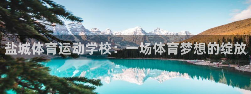 3377体育是正规的吗