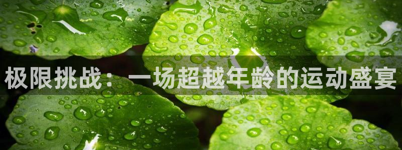 3377体育中国官方网站入口