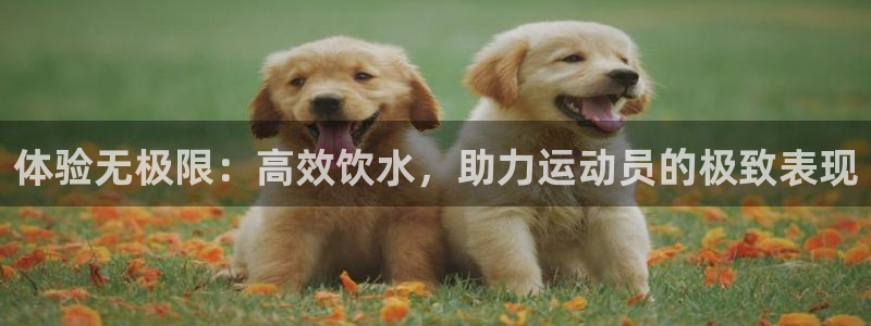 3377体育全网：体验无极限：高效饮水，助力运动员的极致表现
