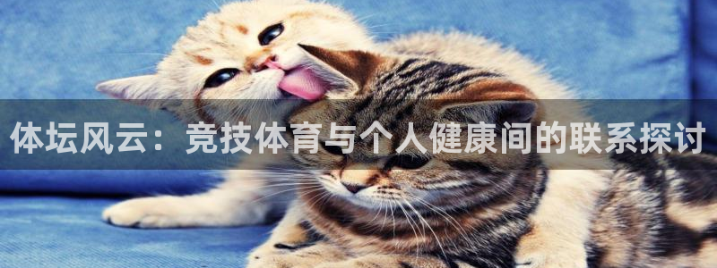 3377体育是正规的吗