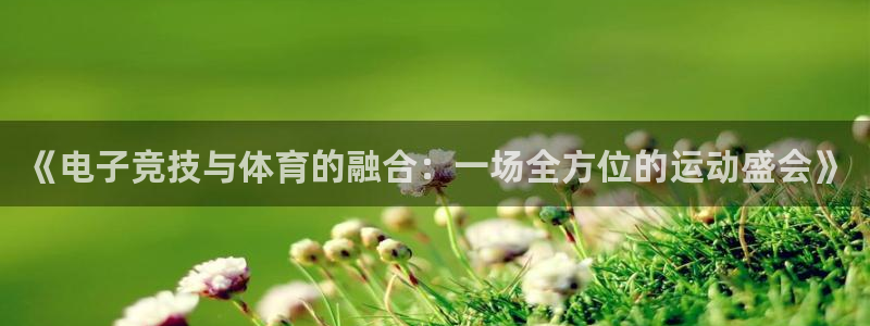 3377体育官网入口网页版