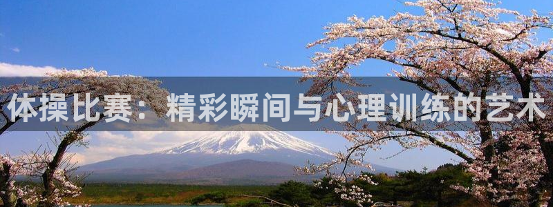 3377体育在线：体操比赛：精彩瞬间与心理训练的艺术