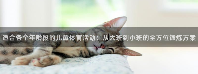 3377体育com：适合各个年龄段的儿童体育活动：从大班到小班的全方位锻炼方案