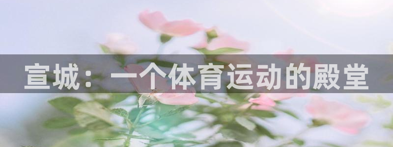 3377体育(中国)官方网站：宣城：一个体育运动的殿堂