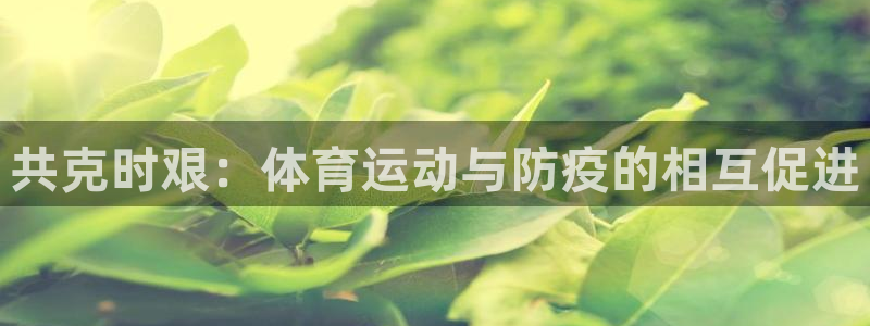 3377体育中国官方网站入口