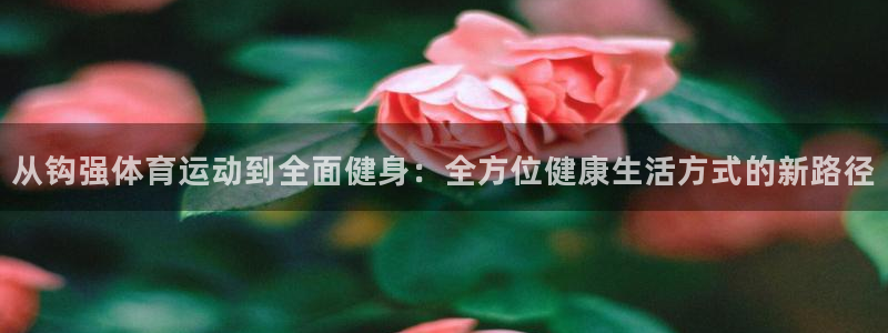 3377体育是正规的吗