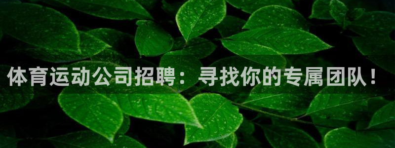 3377体育官网下载