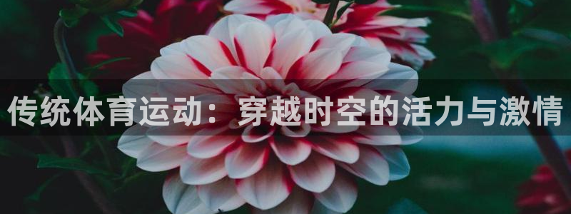 3377体育：传统体育运动：穿越时空的活力与激情