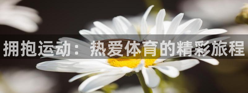 3377体育官网下载：拥抱运动：热爱体育的精彩旅程