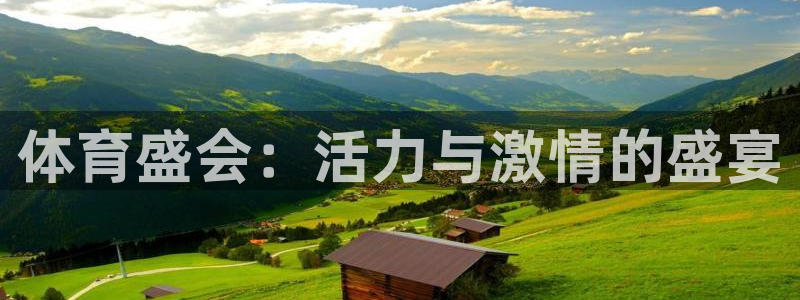 3377体育com：体育盛会：活力与激情的盛宴